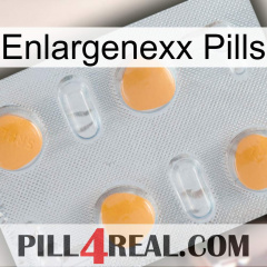 Enlargenexx Pills 24